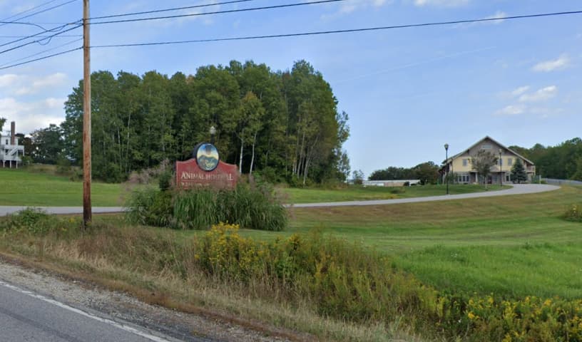 Ridge Animal Hospital