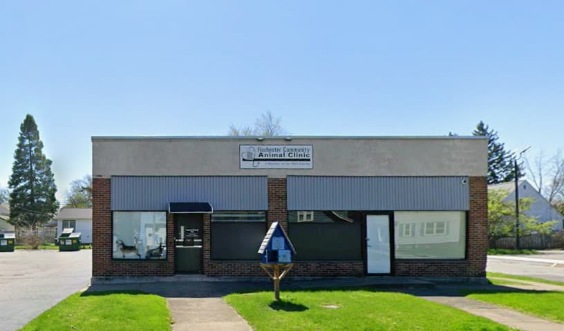 Rochester Community Animal Clinic
