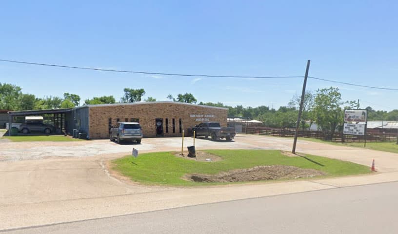 Buffalo Animal Hospital