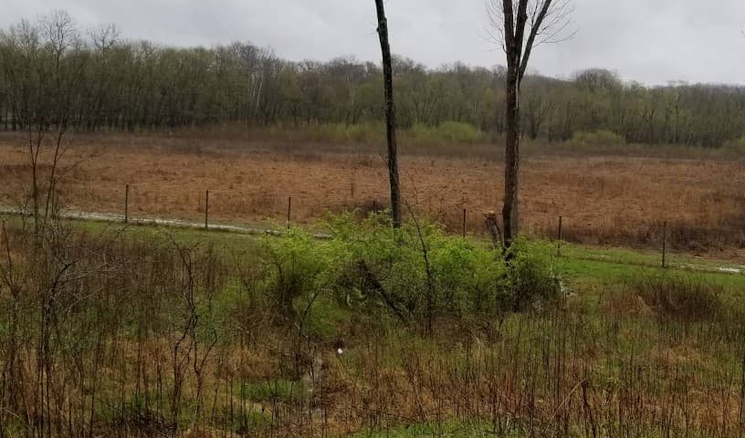 Red Wolf Sanctuary and Raptor Rehabilitation Center