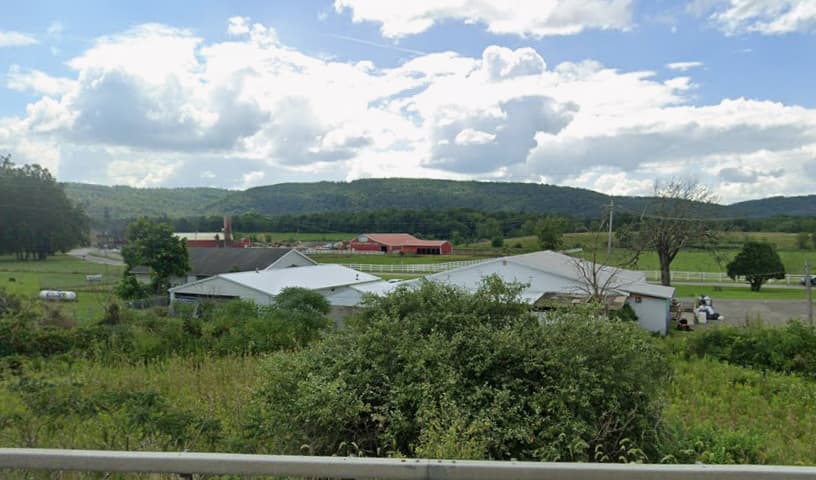 Stray Haven Humane Society