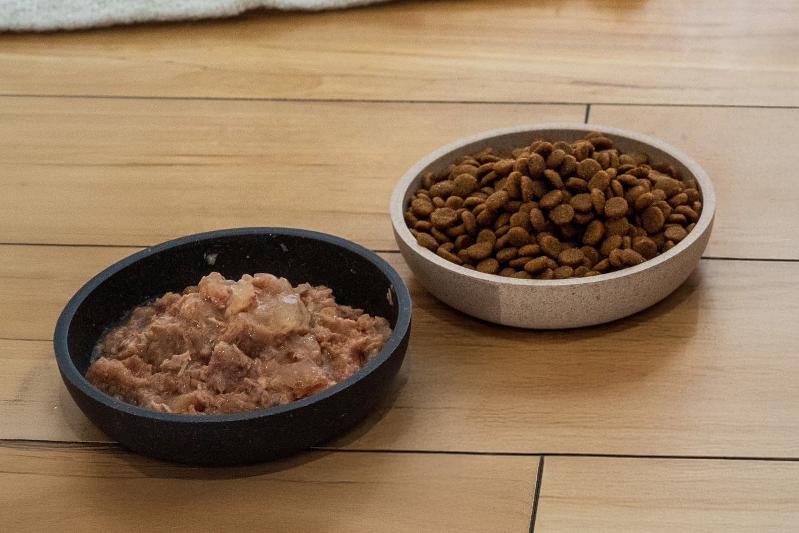 Wet vs Dry Pet Food: What the Science Actually Says