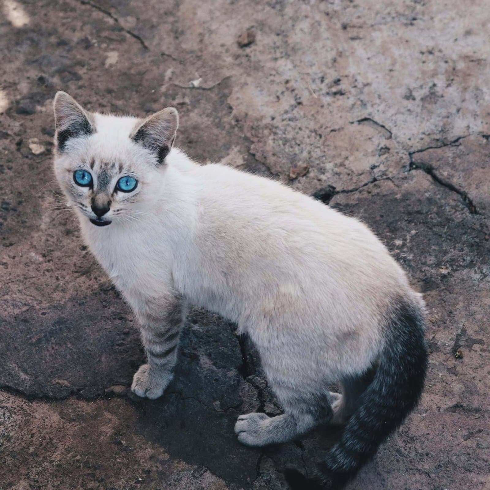 Ojos Azules