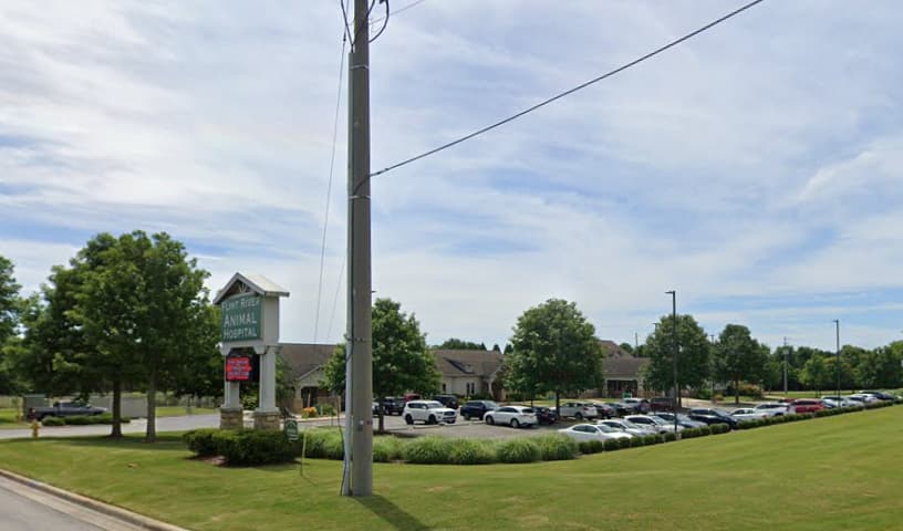 Flint River Animal Hospital