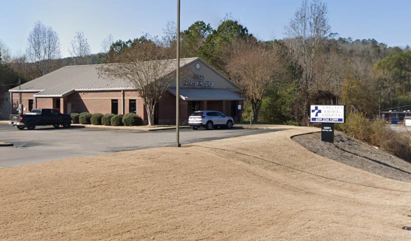Chelsea Animal Hospital
