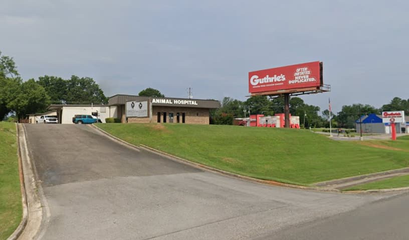 Town & Country Veterinary Hospital