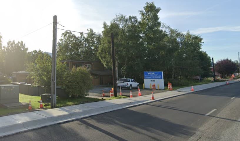 VCA East Anchorage Animal Hospital