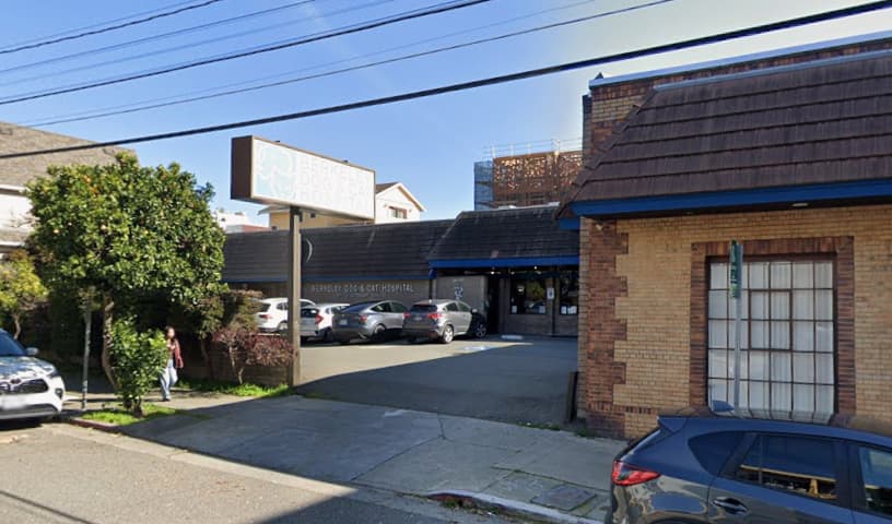 Berkeley Dog & Cat Hospital