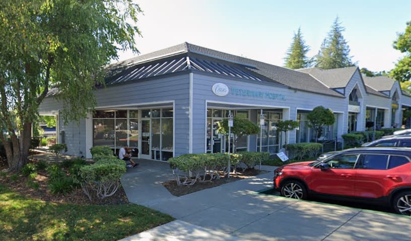 Oasis Veterinary Hospital