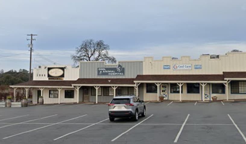 Cool Veterinary Hospital