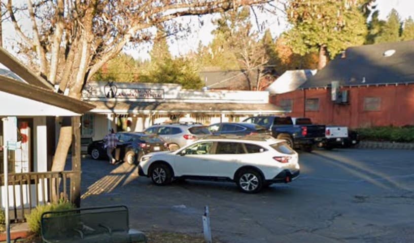 Camino Animal Hospital