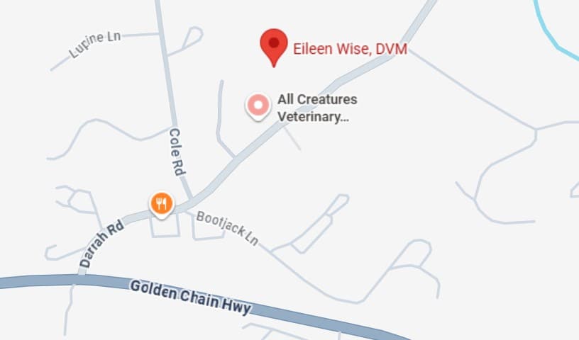 Eileen Wise, DVM