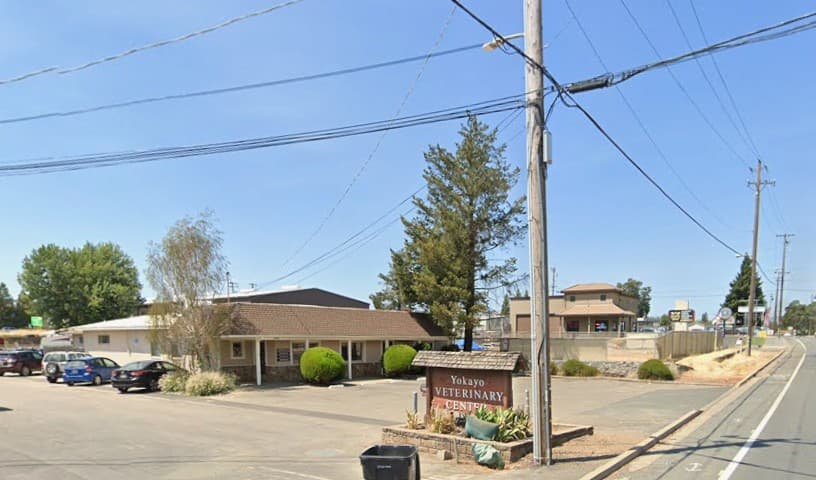 Yokayo Veterinary Center
