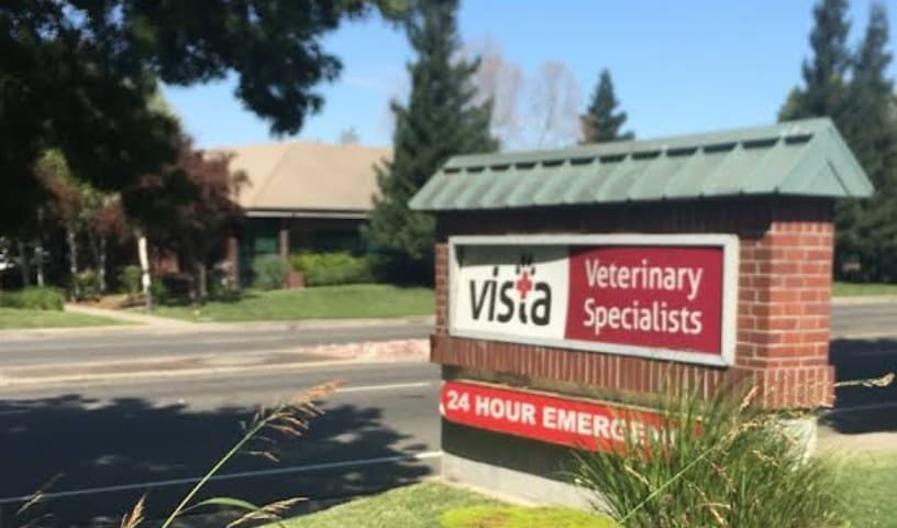 Vista Veterinary Specialists