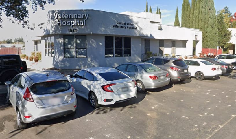 Central Valley Veterinary Hospital