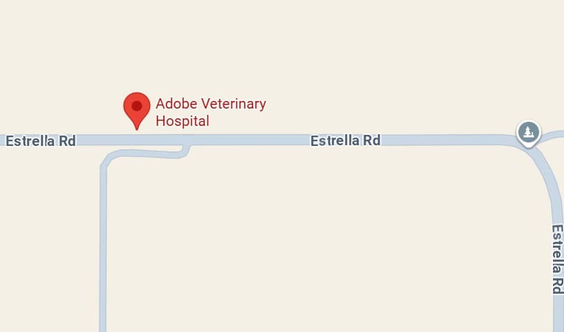 Adobe Veterinary Hospital