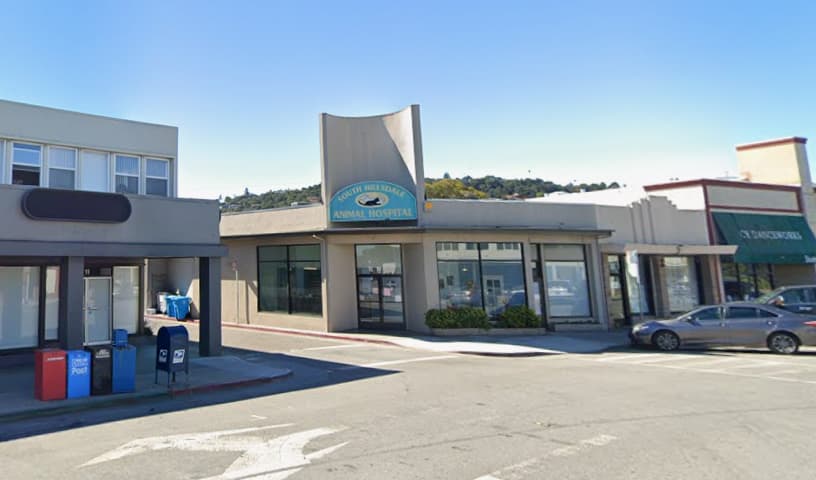 South Hillsdale Animal Hospital