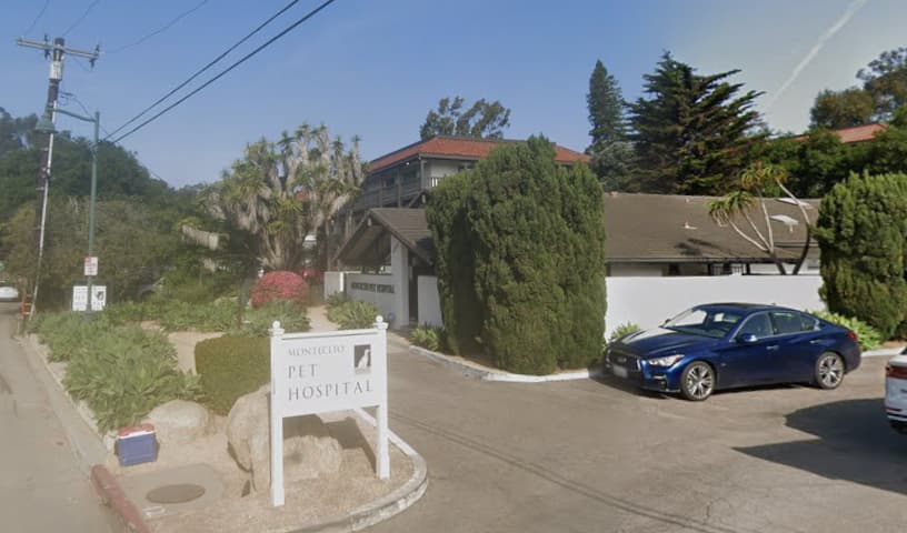Montecito Pet Hospital
