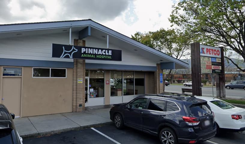 Pinnacle Animal Hospital