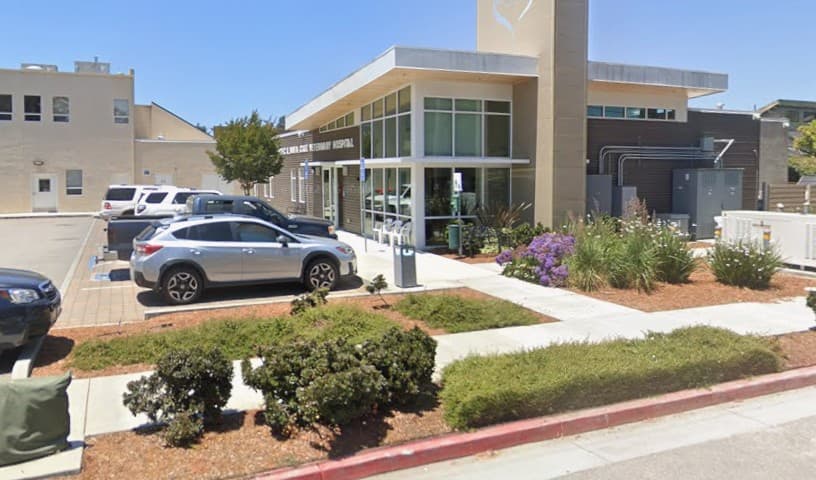 Pacific and Santa Cruz Veterinary Specialists