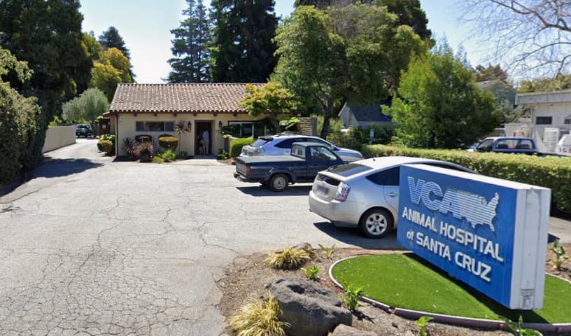 VCA Animal Hospital of Santa Cruz
