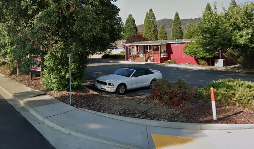 American Veterinary Hospital