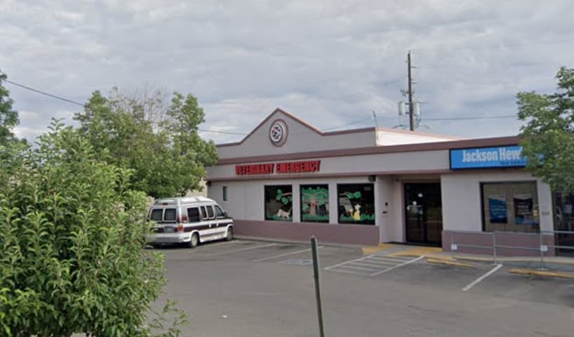 Animal ER of the Western Slope