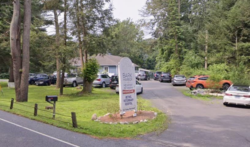 Bethel Veterinary Hospital