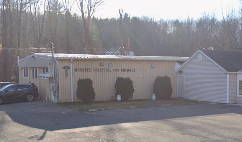 Winsted Hospital For Animals