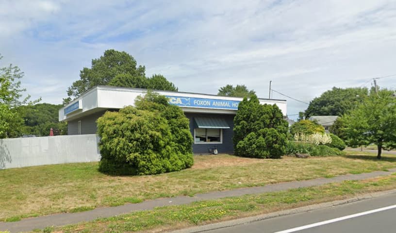 VCA Foxon Animal Hospital