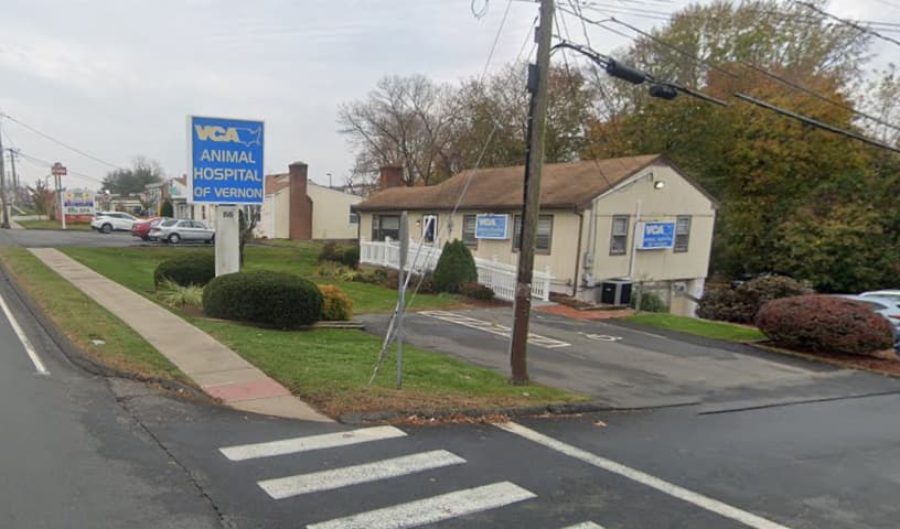 VCA Animal Hospital - Vernon