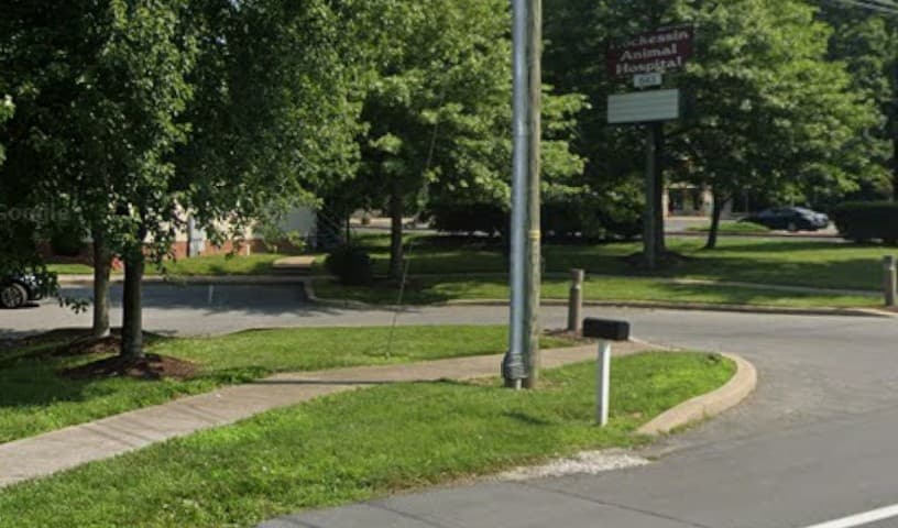 Hockessin Animal Hospital