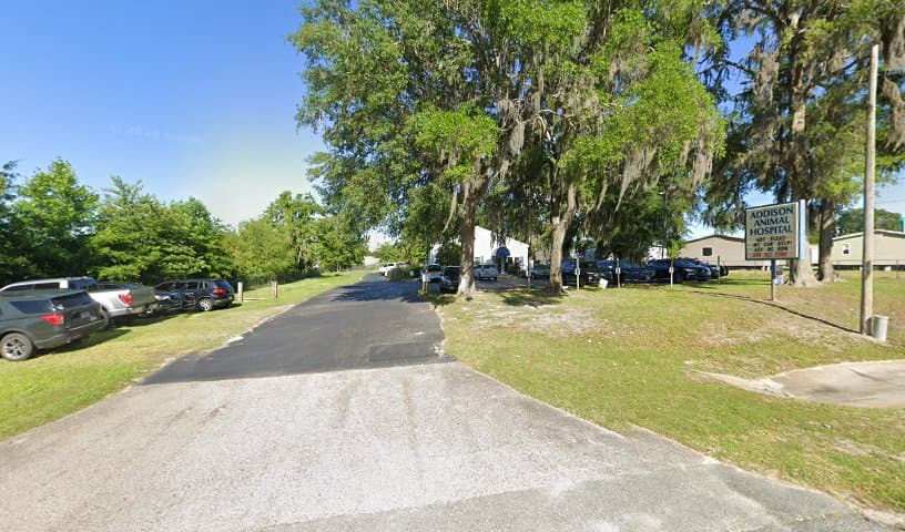 Addison Animal Hospital