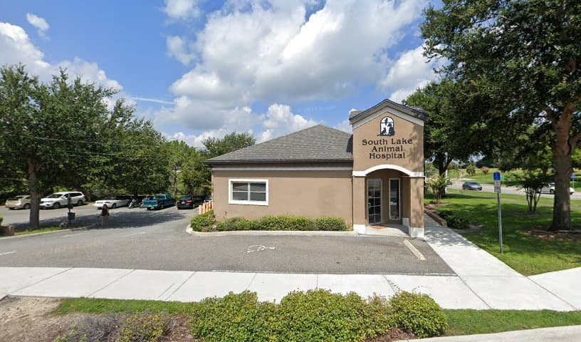South Lake Animal Hospital