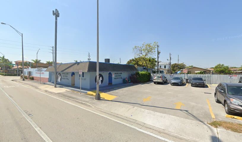 Mueller Animal Hospital