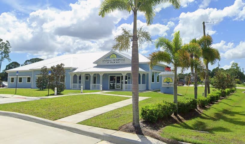 Animal Hospital of Palm Bay