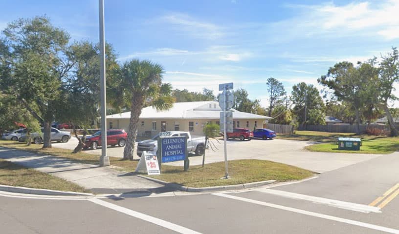 Ellenton Animal Hospital