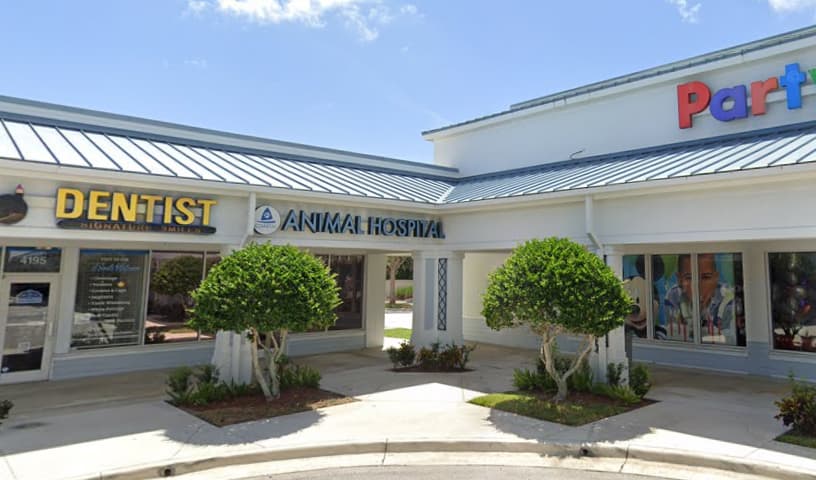 Coastal Animal Hospital