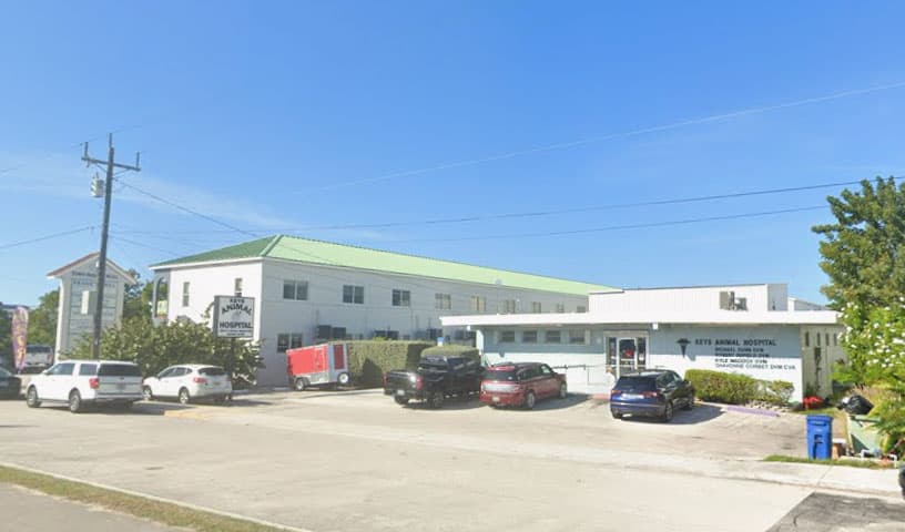 Keys Animal Hospital