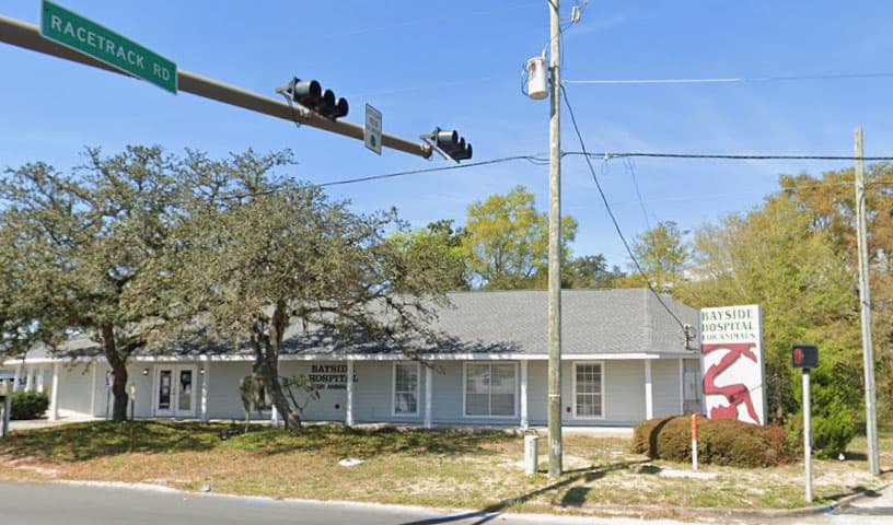 Bayside Hospital For Animals