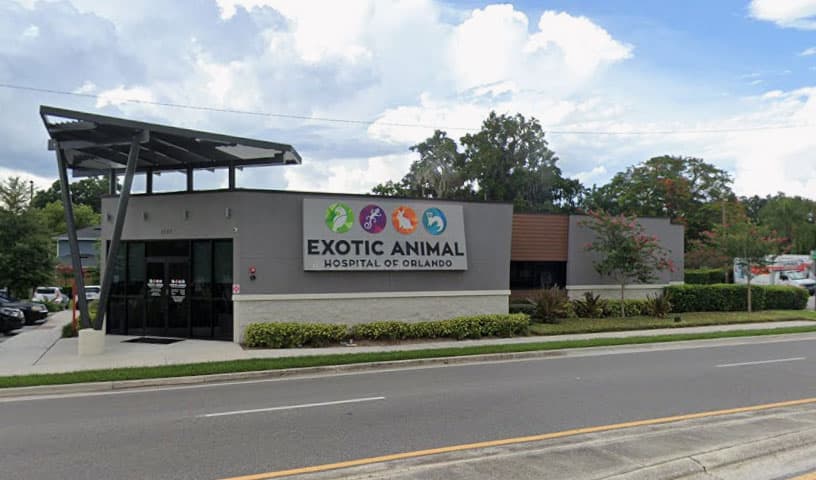Exotic Animal Hospital of Orlando