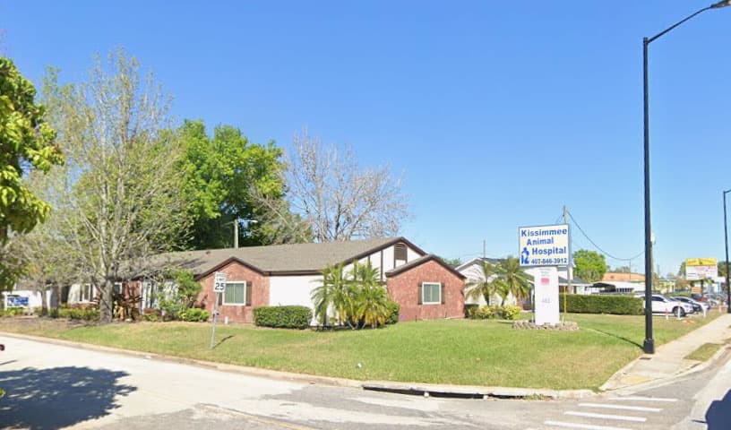 Kissimmee Animal Hospital