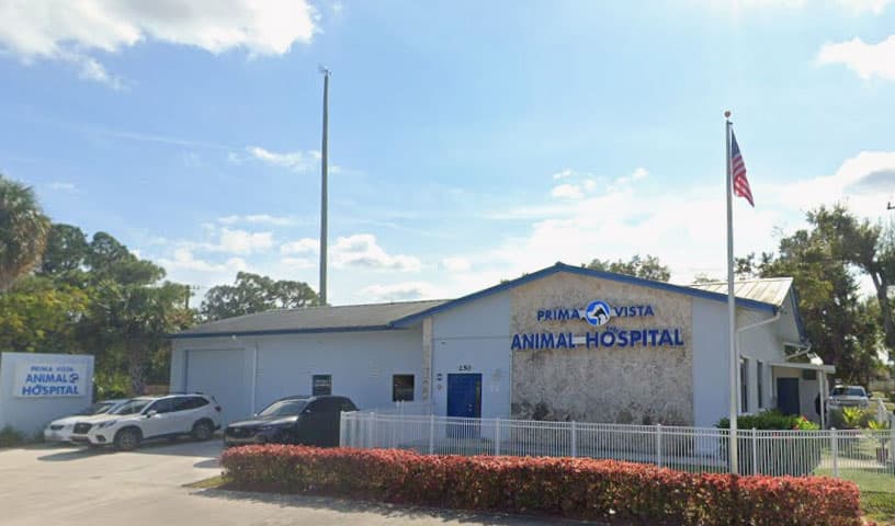 Prima Vista Animal Hospital