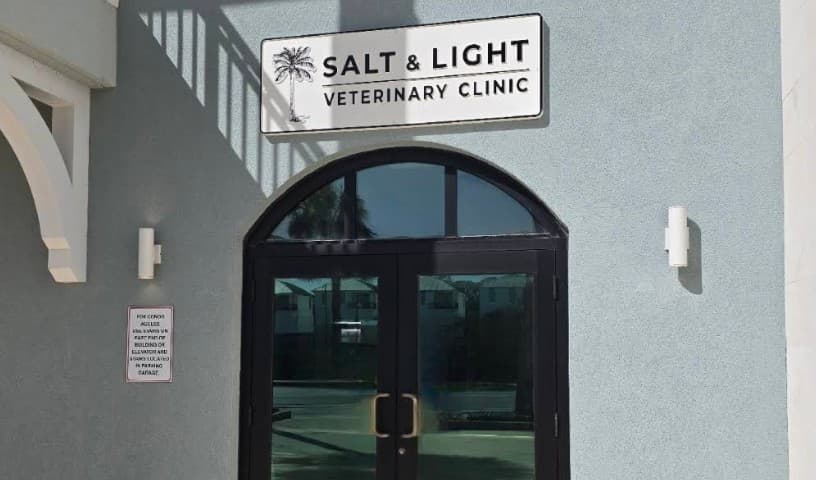 Salt and Light Veterinary Clinic