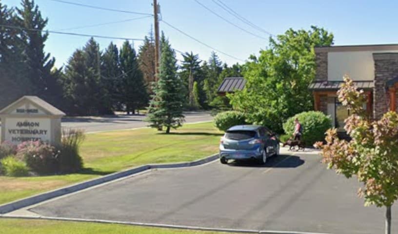 Ammon Veterinary Hospital