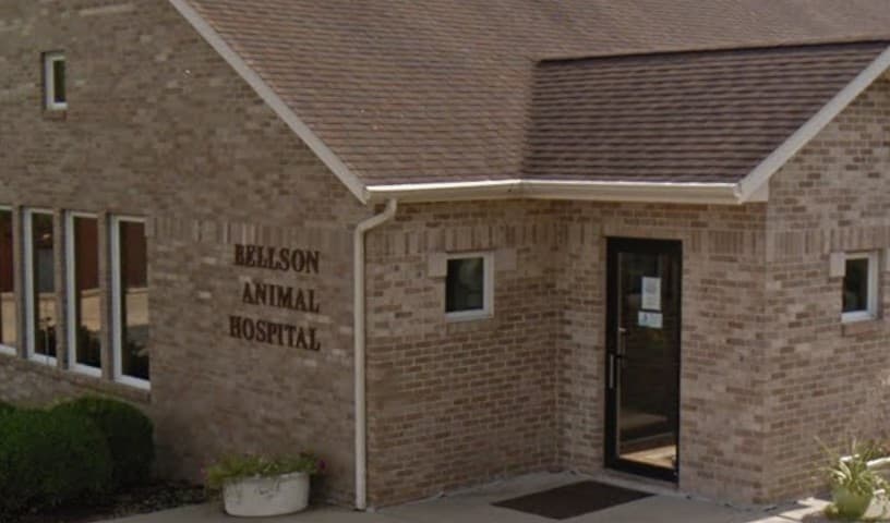 Bellson Animal Hospital