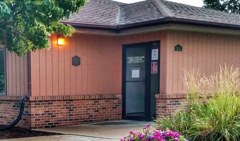Tender Loving Care Animal Hospital