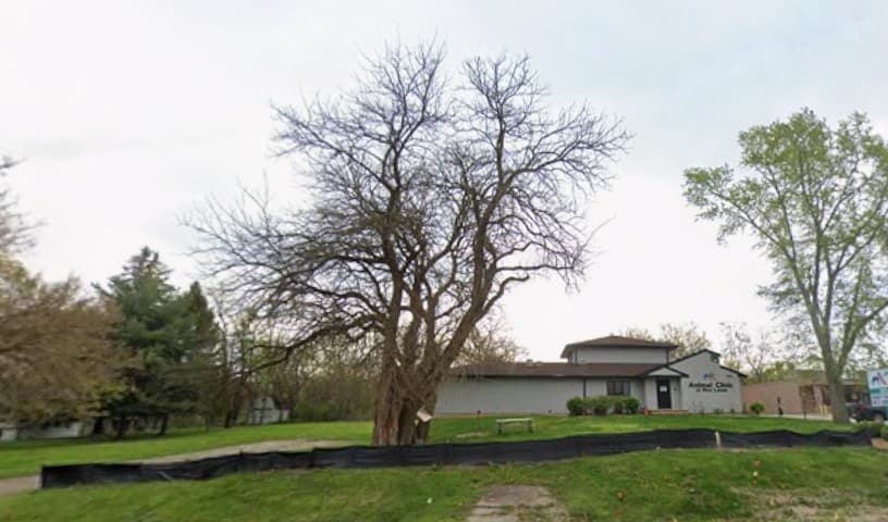 Animal Clinic at New Lenox