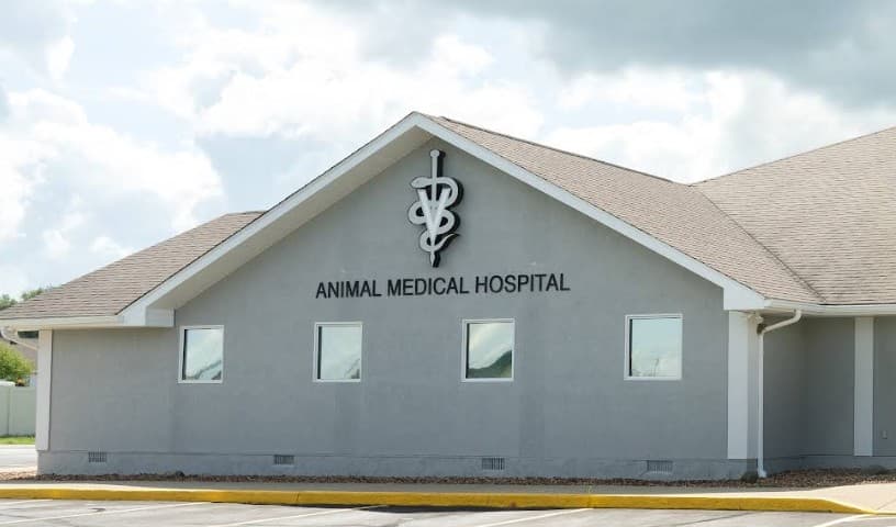 Animal Medical Hospital LLP