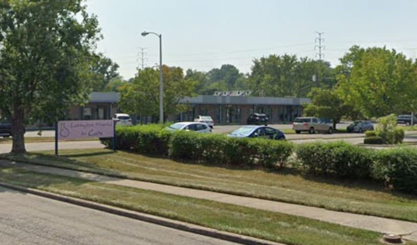 Lexington Hospital For Cats